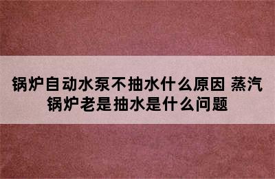 锅炉自动水泵不抽水什么原因 蒸汽锅炉老是抽水是什么问题